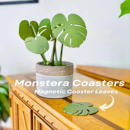 Monstera Coaster Sets Table Decoration and Accessories Coffee Mat Tree Pot Design Christmas Stand Coasters Kitchen Placemats